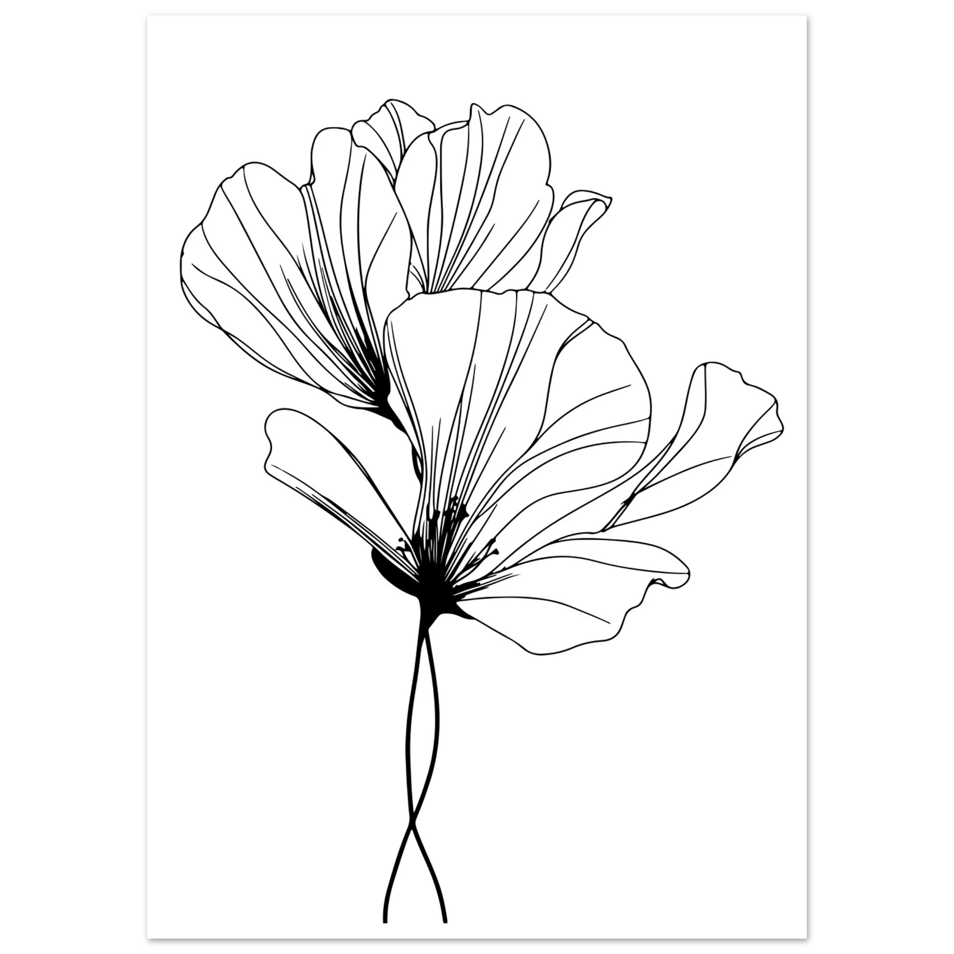 047161b3-dd62-40a2-90fa-e9327d42045d