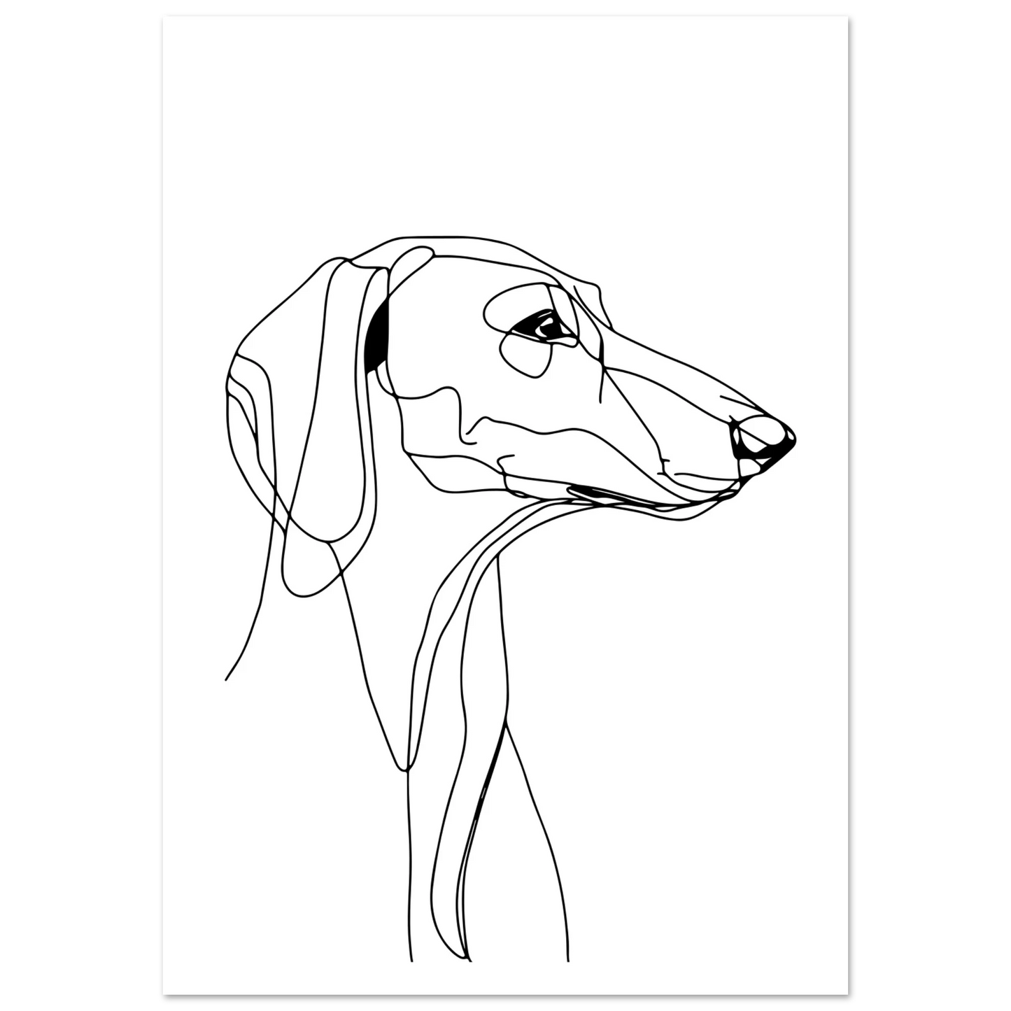 d59fb64d-a5b2-483a-8f6b-c116504d9778